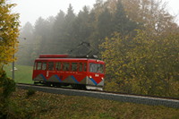 Jede freie Stelle wird zum fotografieren genutzt.