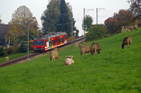 BDeh 3/6 Nummer 25 oberhalb von Rorschach
