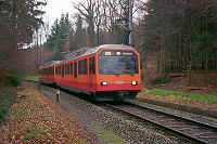 Ein talwärts fahrender Zug bei der Haltestelle Uitikon-Waldegg