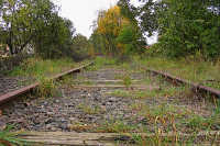 Am Ortsausgang von Rosheim hat die Natur angefangen die Strecke zurück zu erobern.