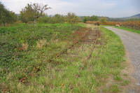 Zwischen Ottrott und Saint Nabor windet sich die Strecke zwischen Weinbergen und Obstbäumen empor.