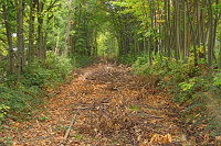 Bei Saint Nabor hat man begonnen das Lichtraumprofil freizuschneiden. Ob man darauf hoffen darf, daß die kleine Bahn mal wieder in Betrieb geht?