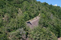 Reste der alten Zahnradbahntrasse