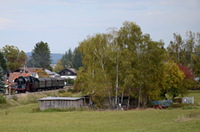 01 519 mit dem Sdz 52296 bei Deißlingen
