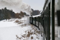 Die eisige Kälte sorgte für eine schöne Dampfwolke.