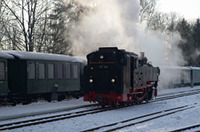 99 788 ist vor kurzem mit einem Zug in Warthausen angekommen und muß nun umsetzen.