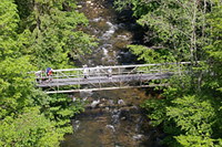 Blick in die Wutachschlucht