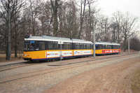 An der Endhaltestelle Donauhalle stehen Wagen 1 und 14.