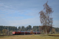 146 238 bei Aufen mit Baum