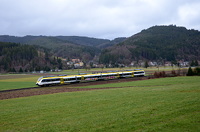 8442 202 mit Graffiti