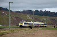 8442 202 mit Graffiti