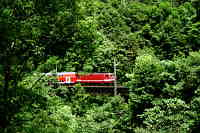 Brücke über den Engenbachtobel