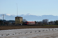 650 018 bei Langenargen