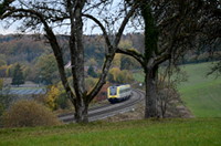 612 103 zwischen Bäumen