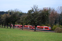 Drei 650er zwischen Bäumen