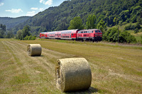 218 429 mit Doppelstock-Wagen bei Hausen im Tal