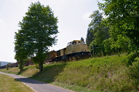 CKG D 100BB Nr.0580 008 mit Holzzug