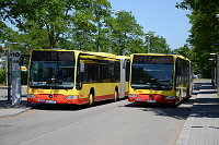 SEV Busbahnhof Balingen