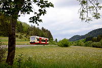 VT 41 auf der Burladinger Steige