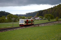VT 217 bei Neufra