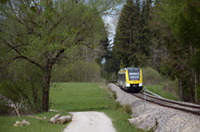 622 306 bei Schlatt