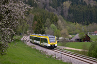 622 306 bei Jungingen