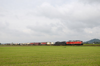 232 241 mit 185 570 (Dispolok) in Richtung Tübingen.