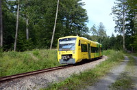 VT 365 im Bauernwald