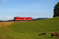 RE 57608 bei Heimhofen