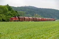 Auf der Ebene zwischen Rangendingen