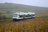 Burkheim-Bischoffingen