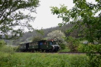 EL4, B2 und T1 auf Bergfahrt zwischen Bäumen